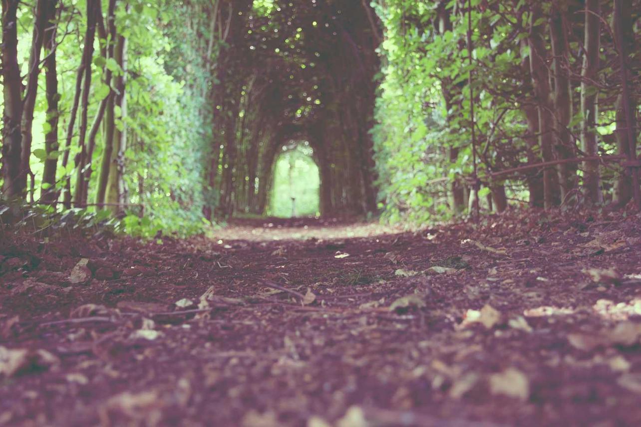 Id commodi quas id qui illum