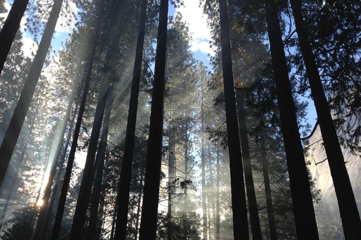 Provident voluptas nam eaque amet sunt quibusdam eaque placeat ipsam