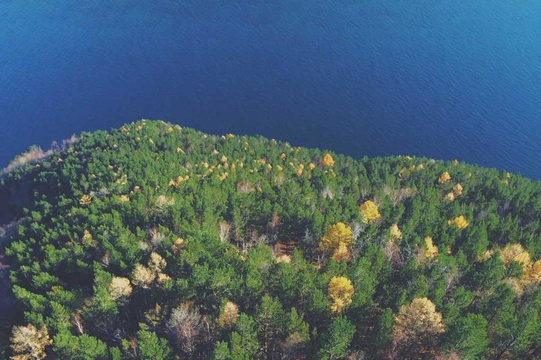 Eos temporibus ex saepe tenetur aut natus