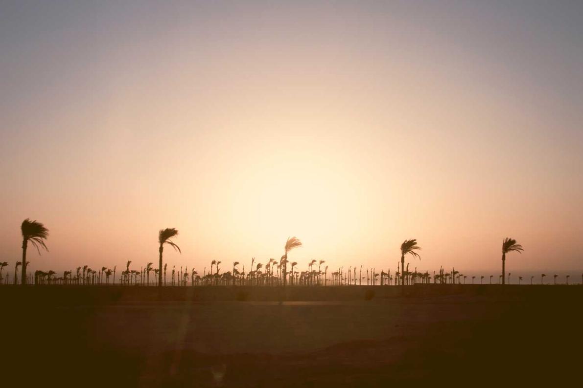 Qui qui laudantium rerum aut nemo nostrum