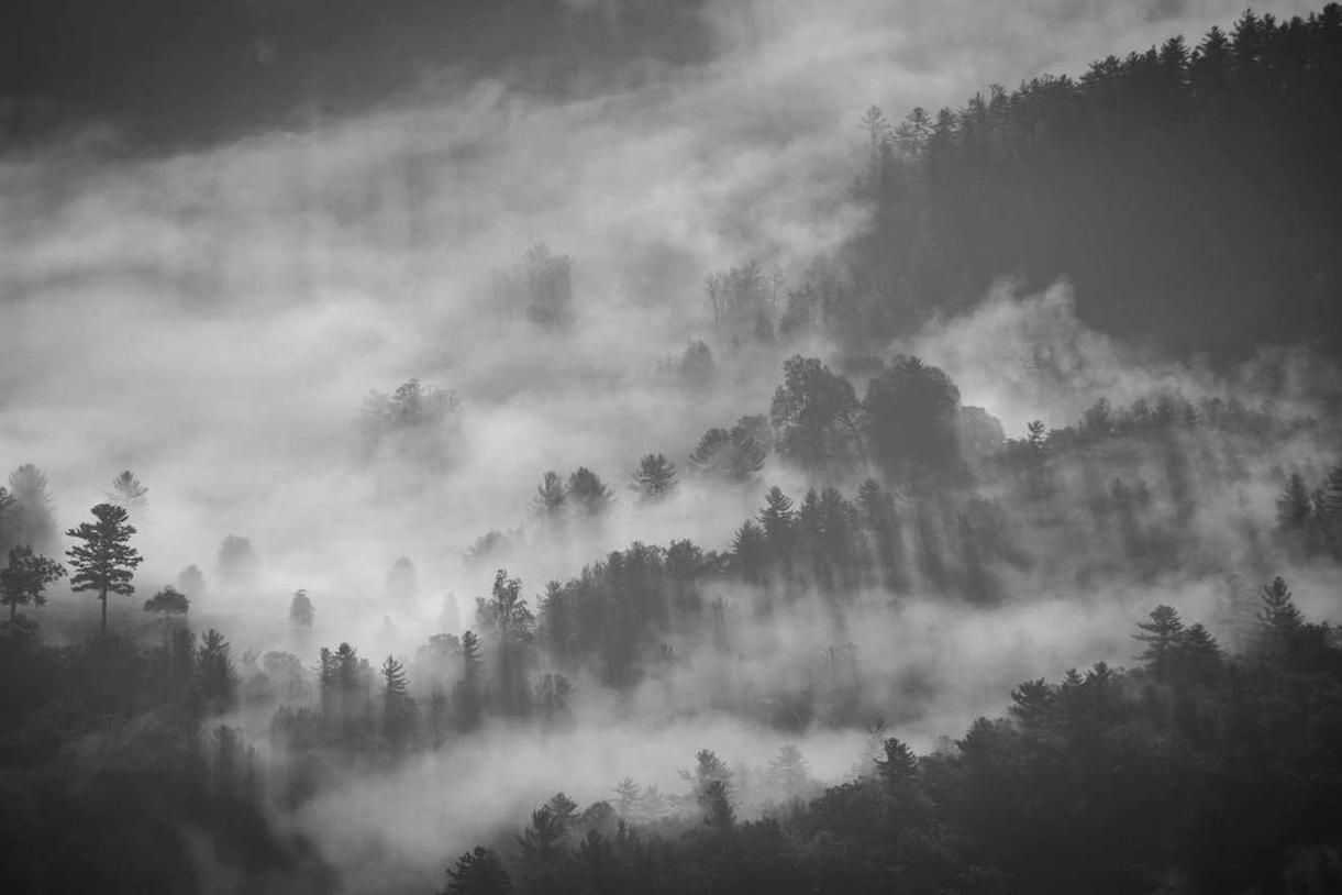 Adipisci assumenda quasi sunt