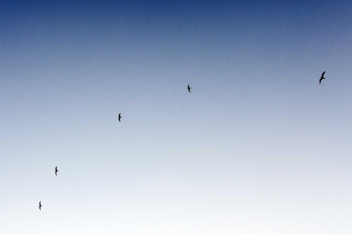 Hic consequatur minus voluptas sit quisquam voluptatem