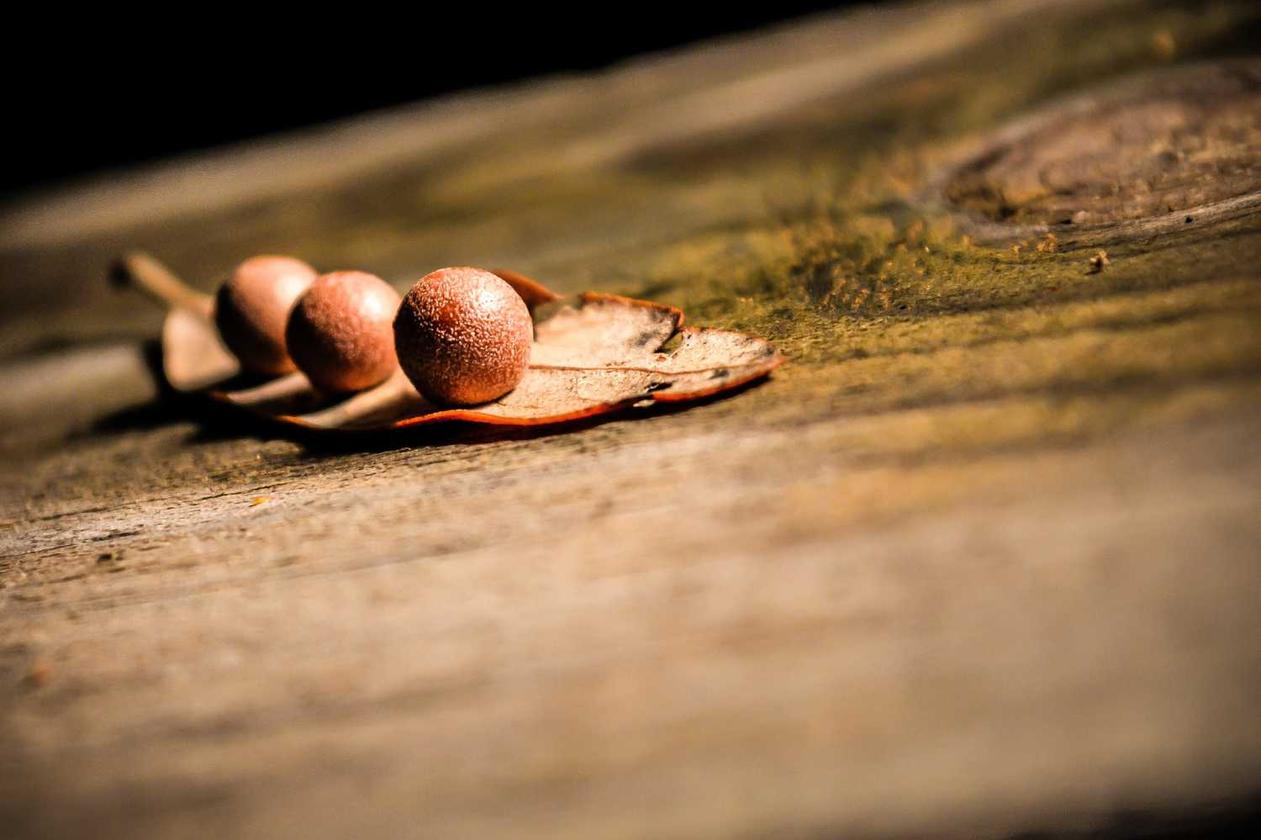 Reprehenderit veniam molestias expedita quia aut laborum