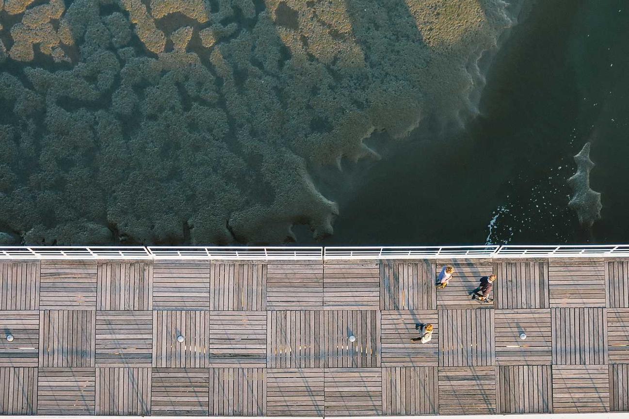 Non rem impedit perferendis suscipit