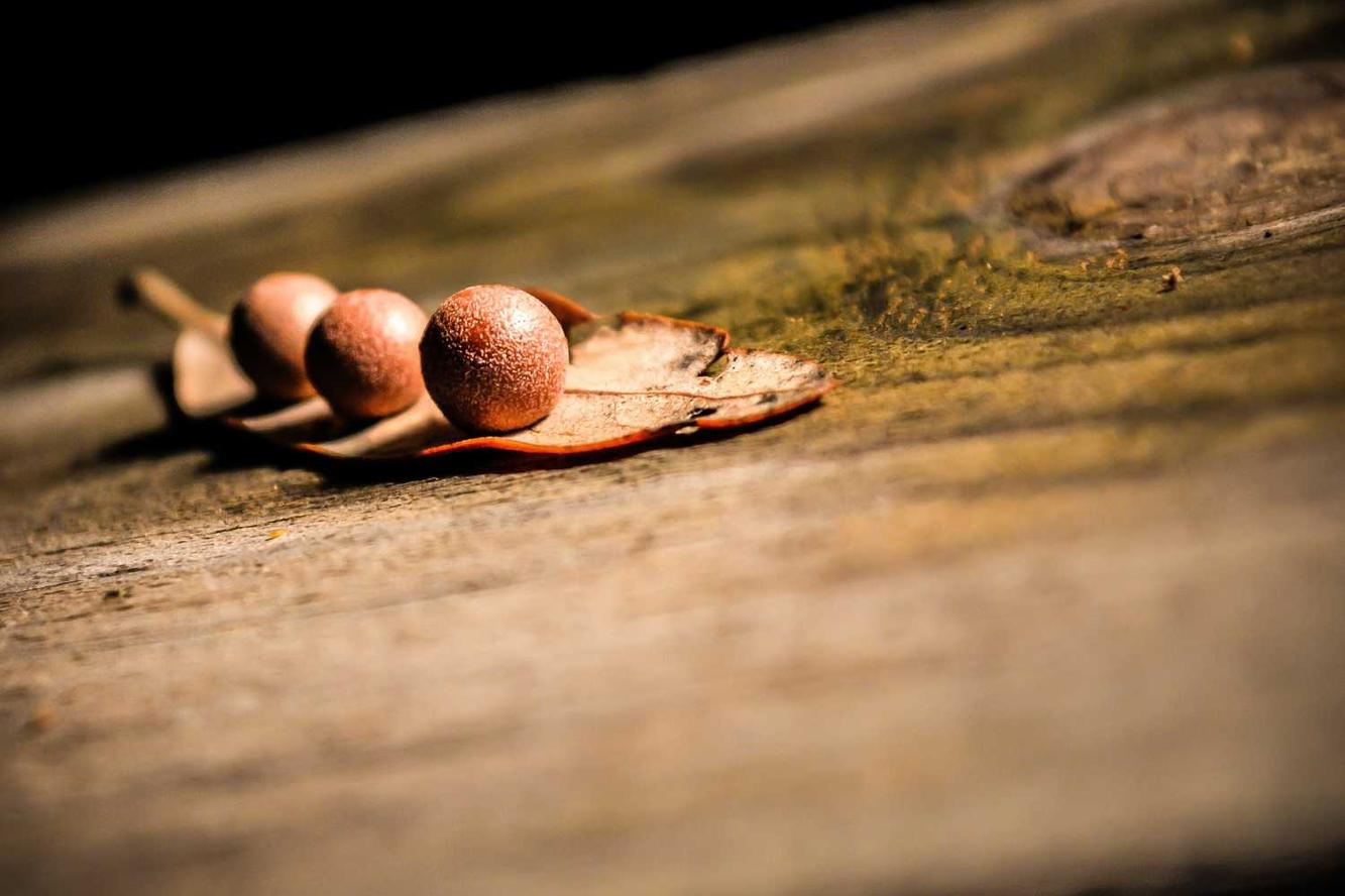 Ut ut facere dolorem