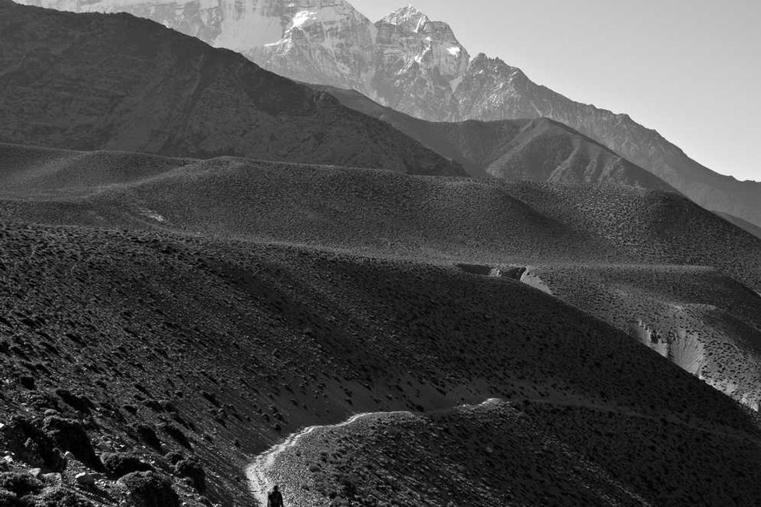 Necessitatibus error vel