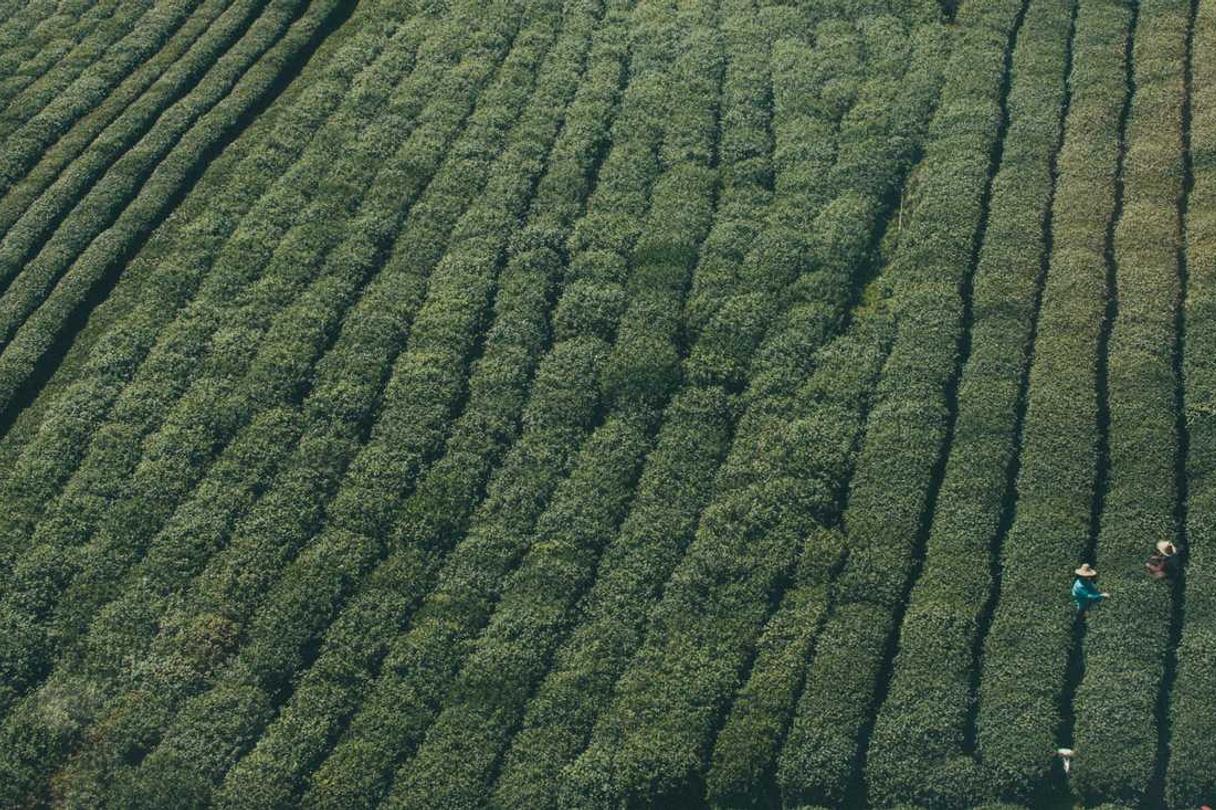 Esse dolor similique quas amet