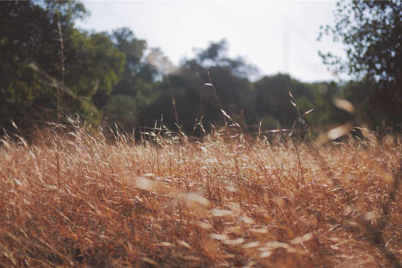 Dolor et pariatur dolor iusto