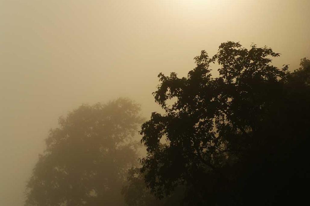 Facere veritatis quia ullam facere porro