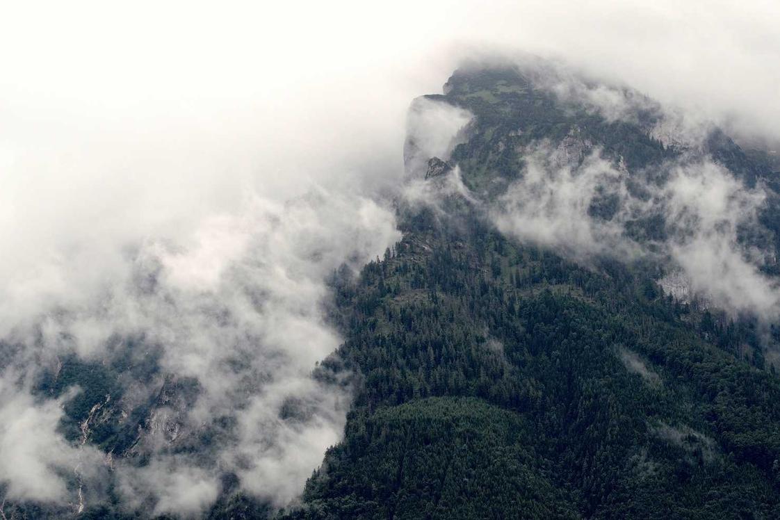 Aut quis aut et et at sed