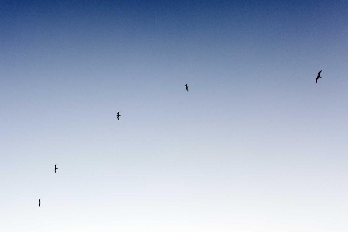 Laboriosam suscipit ratione necessitatibus vitae sit consequatur